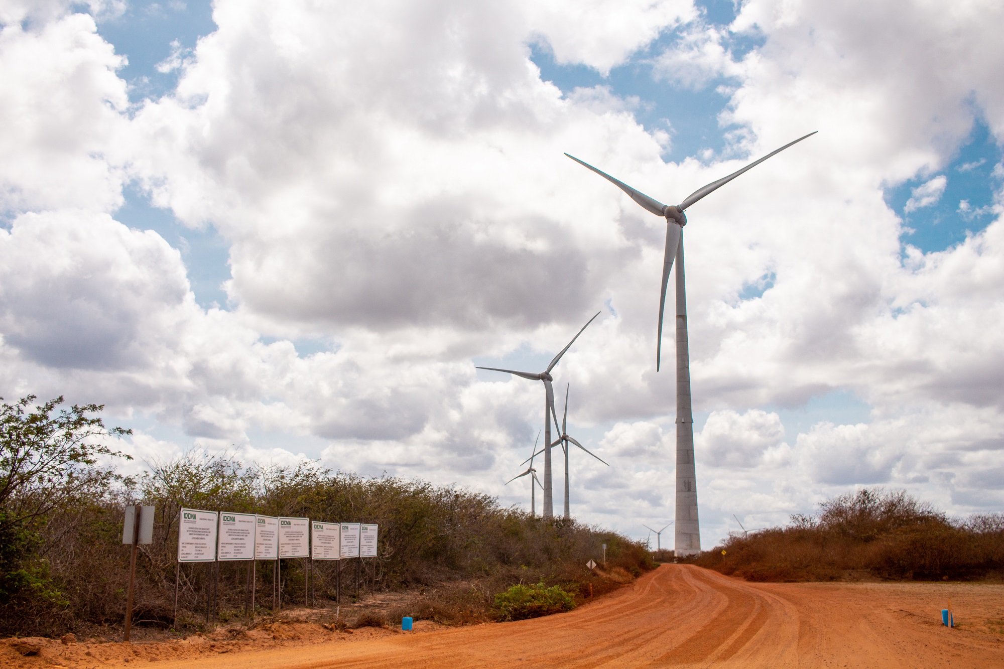 Número de parques eólicos no Brasil deve ser recorde em 2023