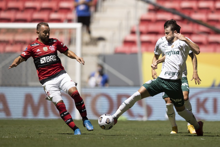 Flamengo e Palmeiras