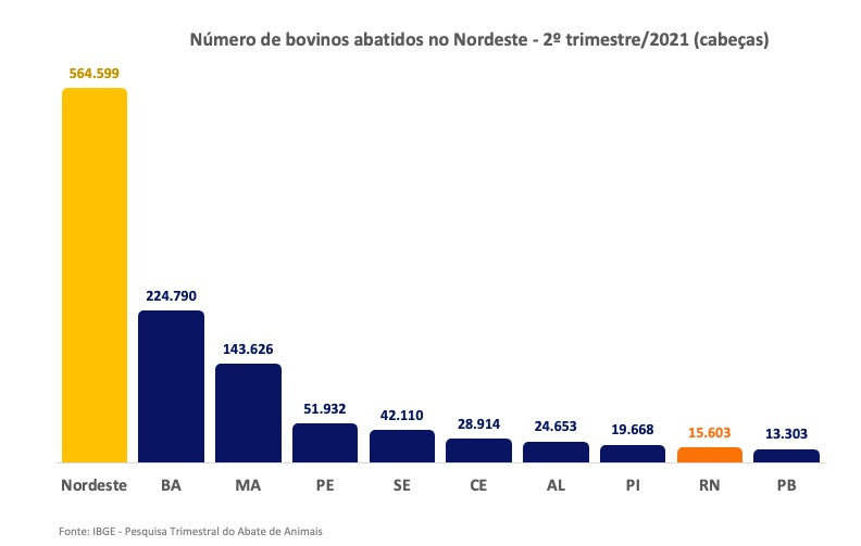 Abate de bovinos no Nordeste