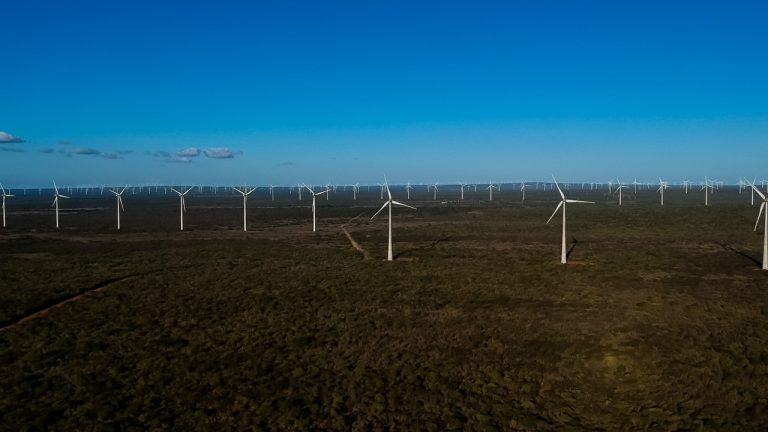 Parque eólico em Jandaíra