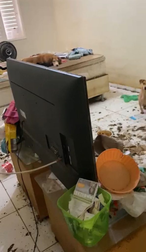 Casa abandonada em Mossoró