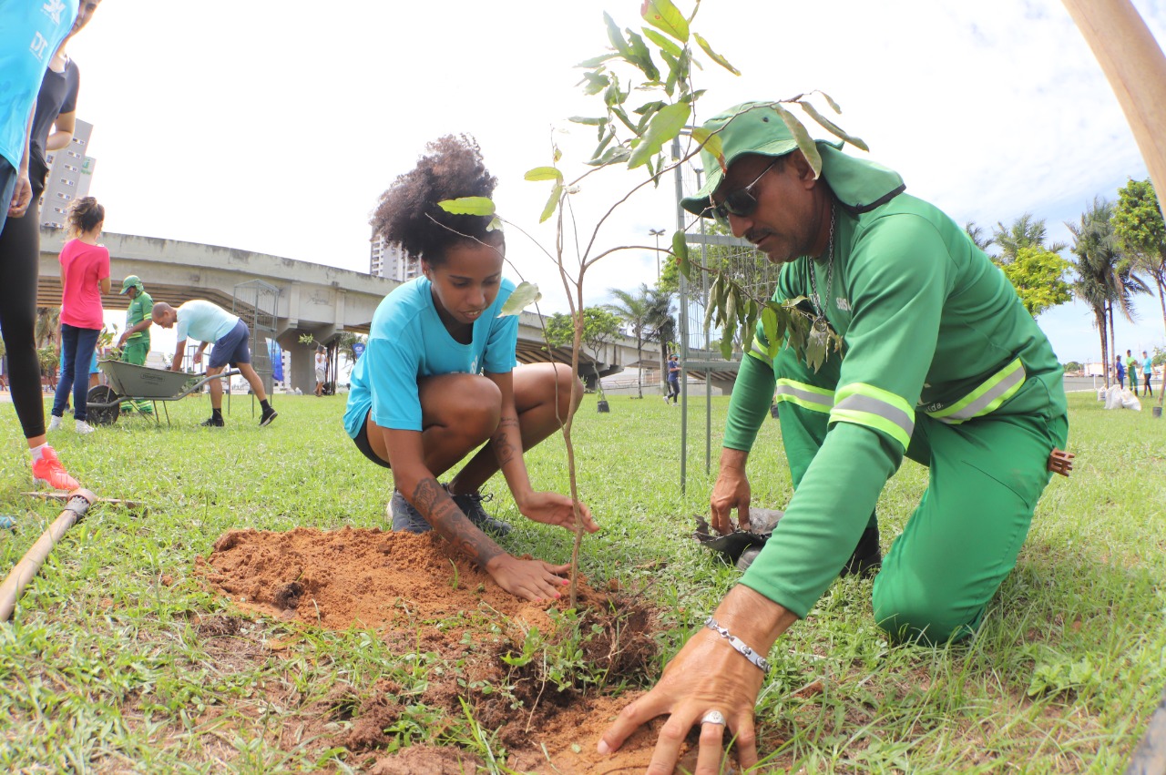 Projeto Planta Natal realiza plantio de quase 10 mil mudas na capital |  NOVO Notícias