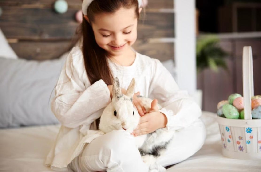 Criança brinca com um coelho