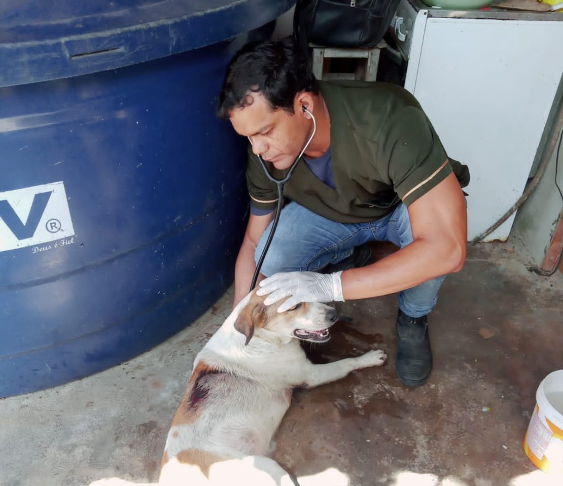 Polícia autua homem que atirou em cachorro no interior do RN