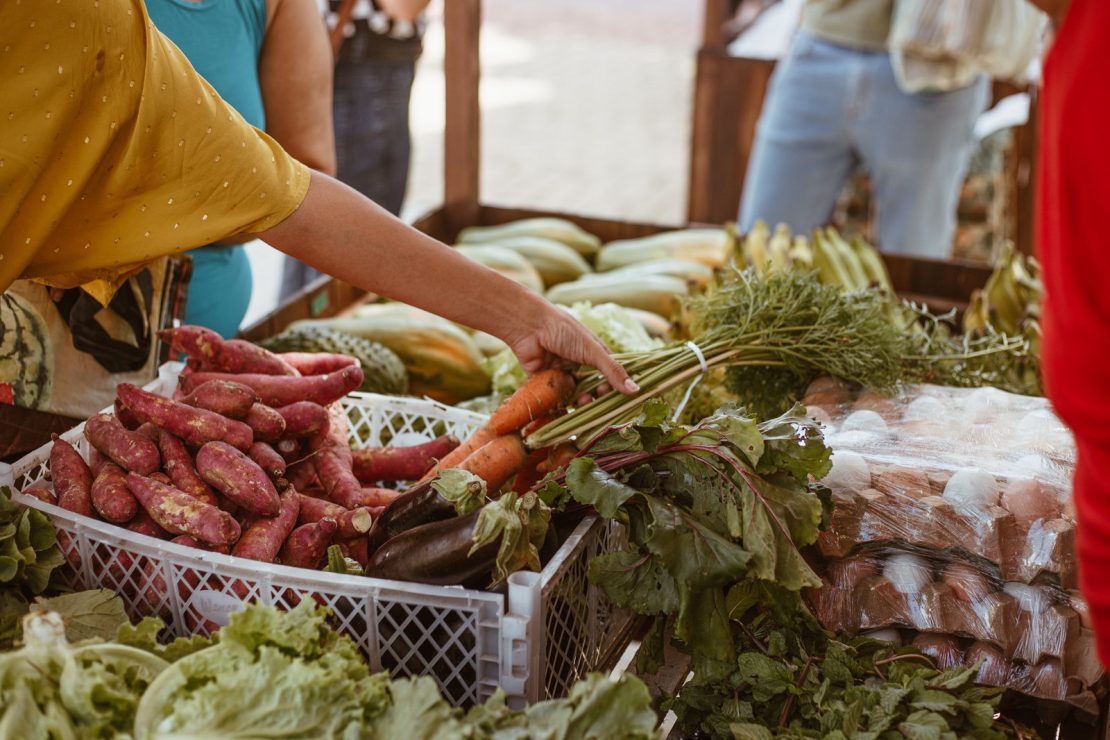 Projeto ‘Agroecologia na Cidade’ é lançado nesta sexta (19)