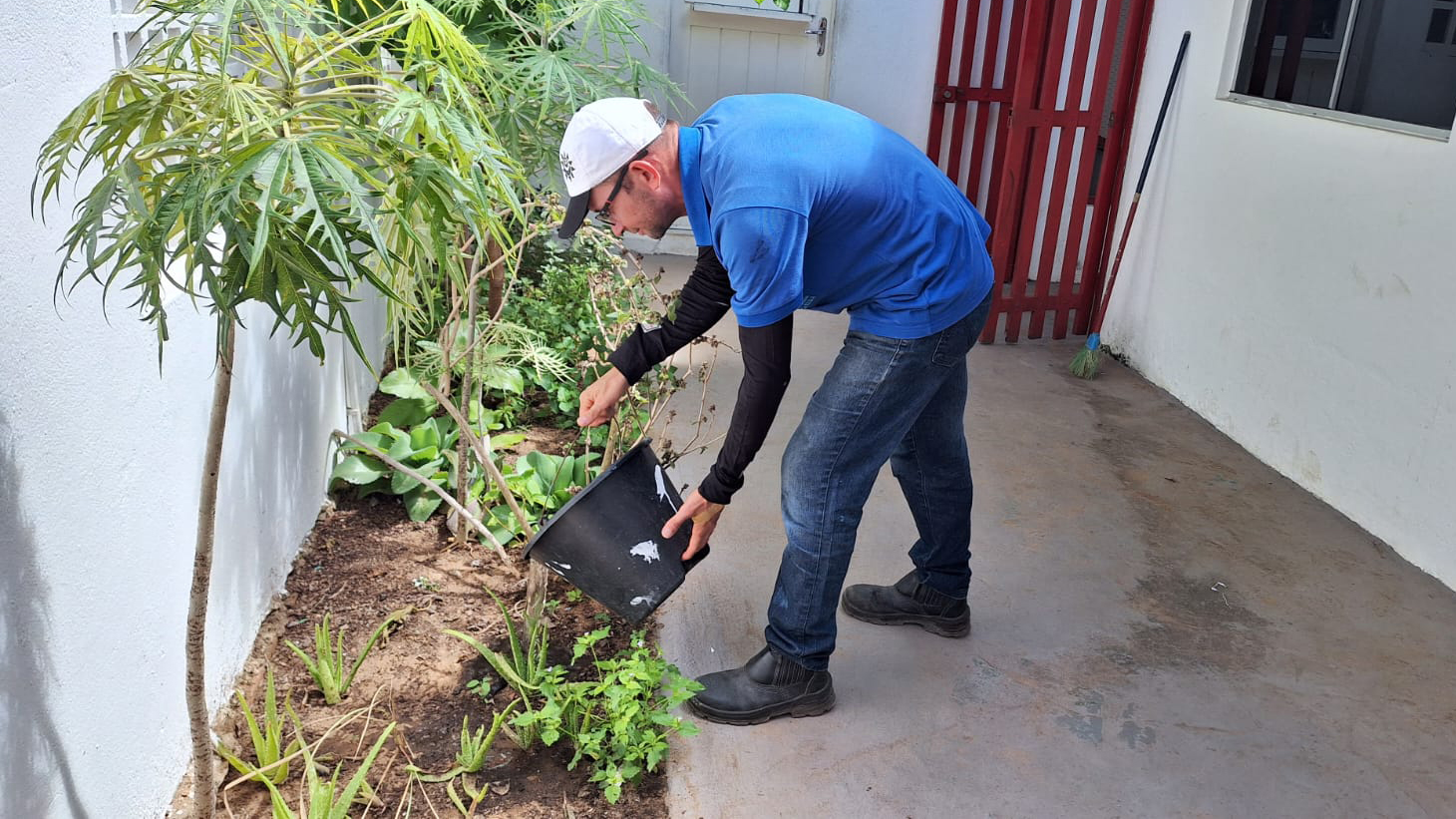 Dia do Meio Ambiente: sustentabilidade na prática