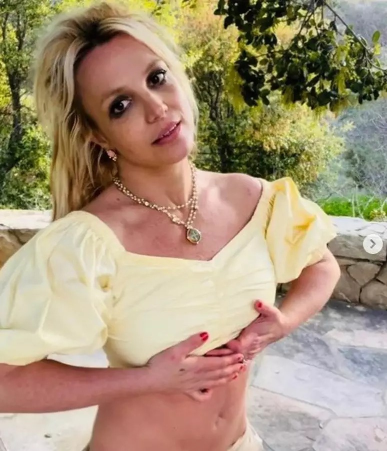 Família acredita que Britney Spears esteja dependente de metanfetamina e cantora rebate