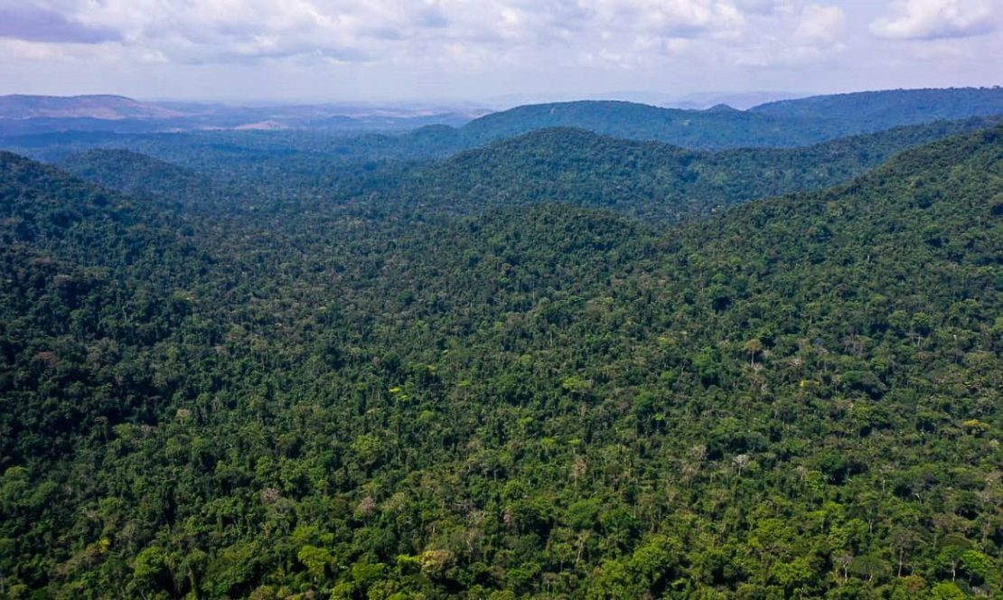 Diminuição marca uma reversão da tendência de aumento do desmatamento da Amazônia Legal. Foto: TV Brasil