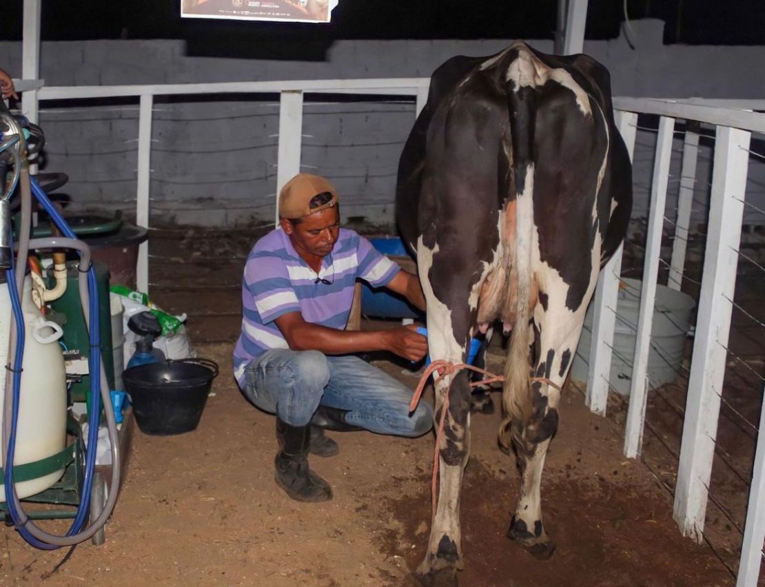 19ª Caprifeira de Afonso Bezerra - Foto: Divulgação