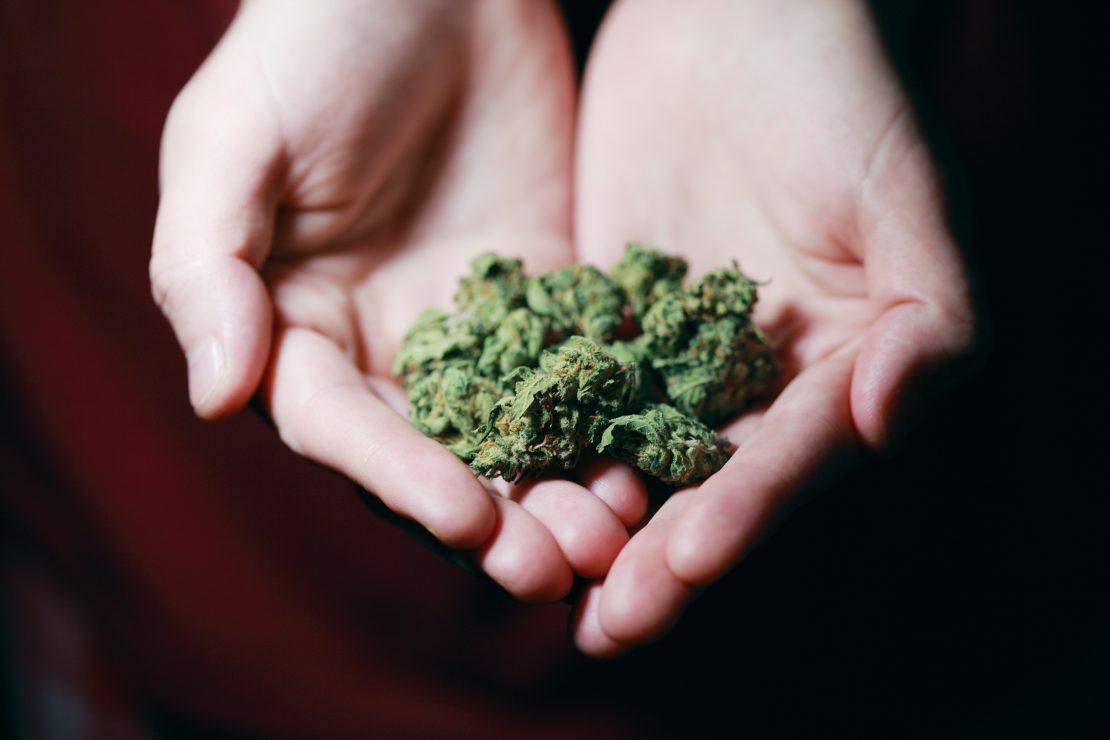 Pelo voto do ministro, deve ser considerado usuário quem portar entre 25 a 60 gramas de maconha ou seis plantas fêmeas de cannabis. Foto: Alexander Grey/Pexels