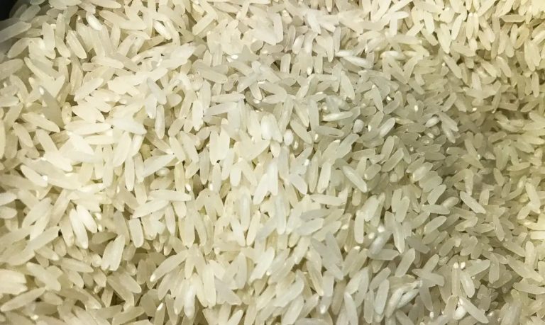 Governo federal autorizou a Conab a importar até 1 milhão de toneladas de arroz beneficiado ou em casca. Foto: Marcello Casal Jr./Agência Brasil