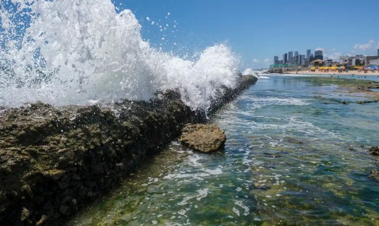 Nos últimos dias, repercutiu nas redes sociais o debate em torno projeto que prevê a privatização das praias. Foto: Fernando Frazão/Agência Brasil