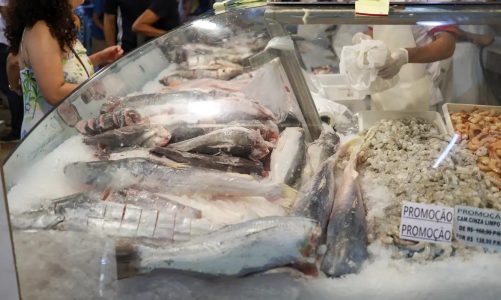 Durante quinze dias, setores produtivos promoverão ofertas de peixes e frutos do mar. Foto: Fábio Rodrigues Pozzebom/Agência Brasil