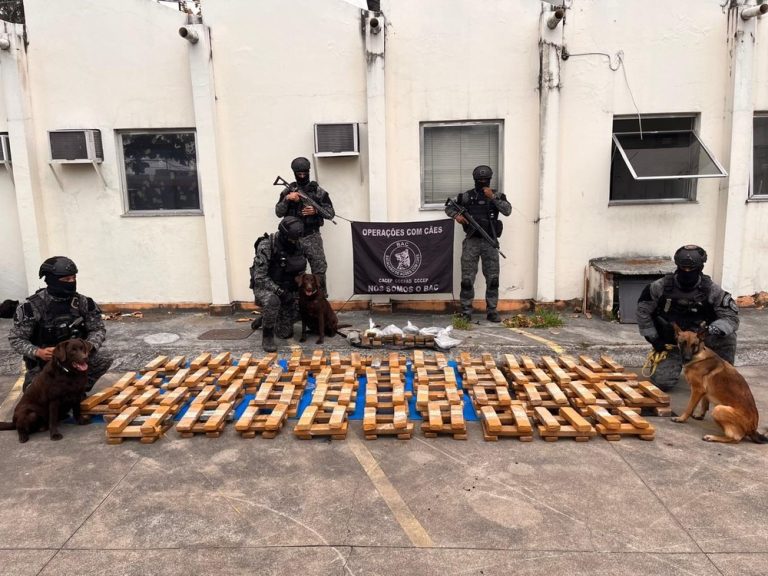 Tonelada de maconha em escola no Rio foi encontrada com a ajuda de cães farejadores. Foto: Reprodução