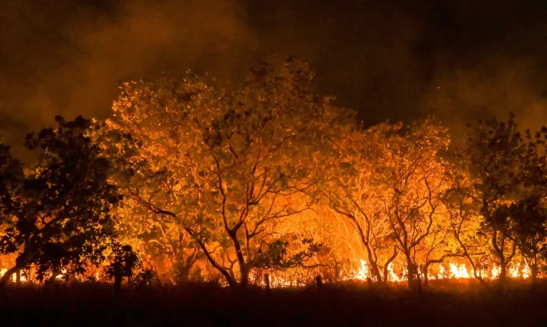 Foto: Jader Souza/AL Roraima