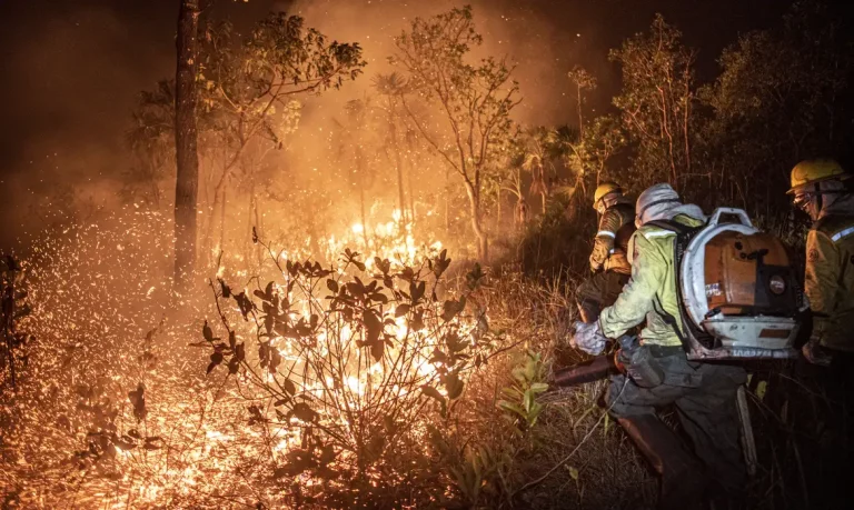 Avanço das queimadas no Brasil alcançou patamar nunca antes visto. Foto: Mayangd Inzaulgarat/Ibama