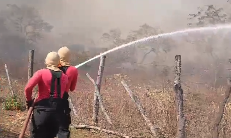 Bombeiros estão combatendo grande incêndio na Chapada do Apodi. Foto: Reprodução