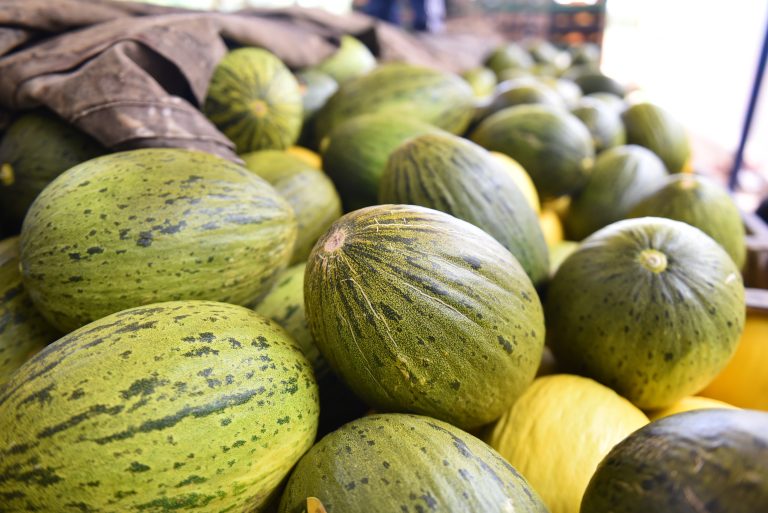 Com crescimento significativo na fruticultura, o agronegócio do RN tem se destacado cada vez mais na economia potiguar. Foto: Assecom/Arquivo/Elisa Elsie