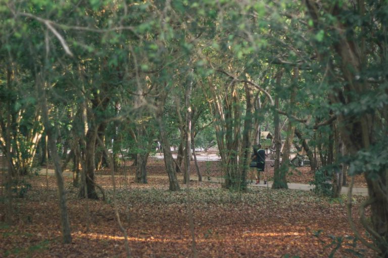 Parque das Dunas funcionará normalmente na quinta-feira, feriado estadual, e na sexta. Foto: Caroline Macedo