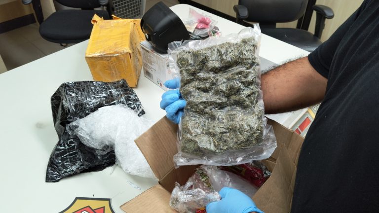 PF apreendeu 810 gramas de maconha, 90 comprimidos de ecstasy e R$ 5 mil em notas falsas. Foto: Polícia Federal