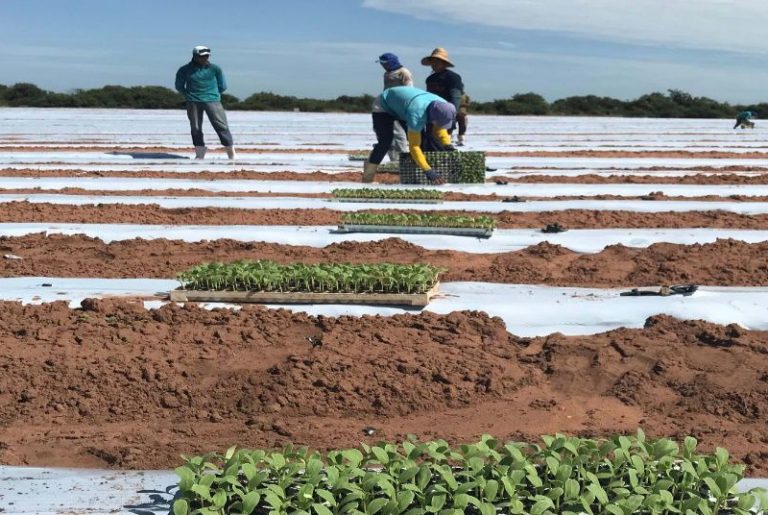 Os consumidores que não efetuarem o recadastramento podem perder o subsídio. Foto: Divulgação