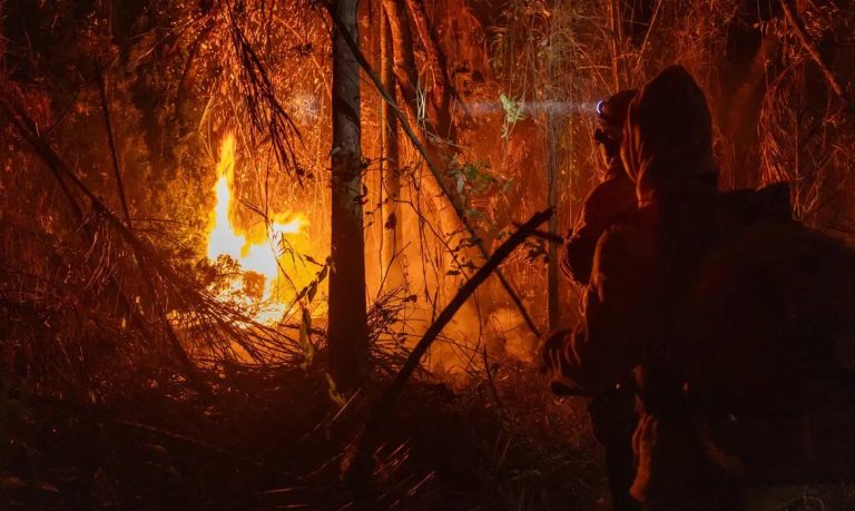 Dados mostram que 57% da área queimada entre janeiro e novembro no Brasil fica na Amazônia. Foto: Agência Santarém