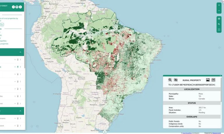 Dados são do 3º Panorama do Código Florestal, realizado pelo Centro de Sensoriamento Remoto da UFMG. Imagem: UFMG/Divulgação