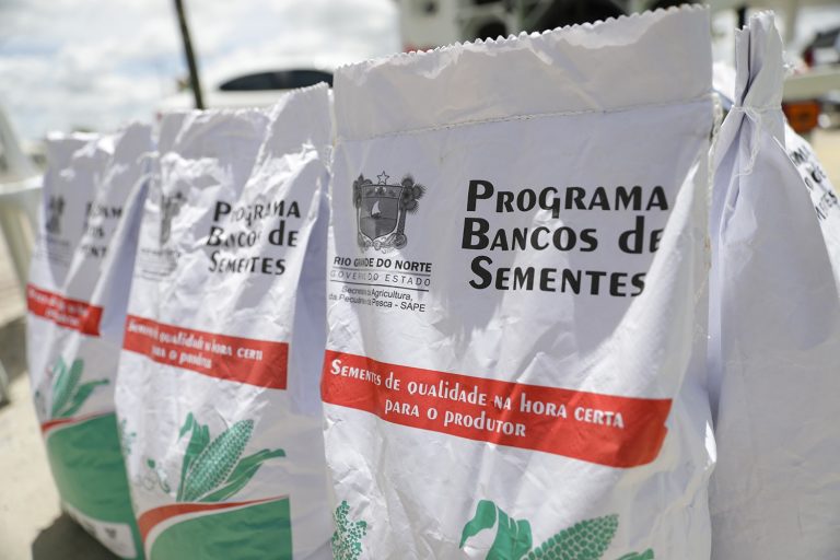 Programa de sementes 2025 no RN deve distribuir mais de 650 toneladas. Foto: Raianne Miranda/Assecom RN