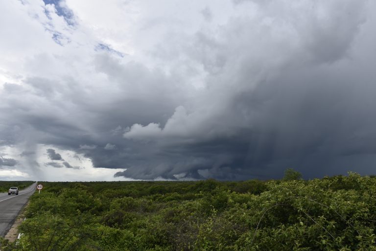 Há uma previsão de chuvas mais fortes nos próximos dias, na Chapada do Apodi com previsão acumuladas acima dos 50 mm. Foto: Elisa Elsie/Assecom/Arquivo